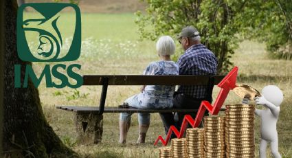 Pensión IMSS: ¿AUMENTARÁ la pensión a jubilados en 2024?