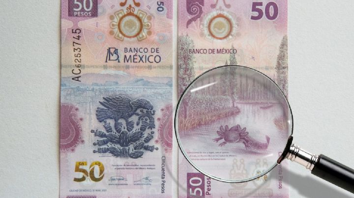 ¿Cuándo sale de circulación el billete del ajolote?