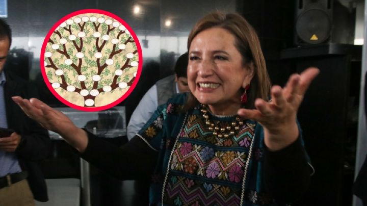 Gálvez, la historia detrás del apellido de la otra mujer que va por la presidencia de México