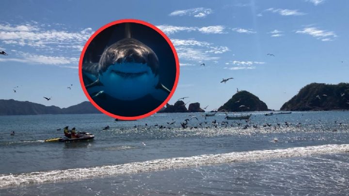 ¿Reabrirán la playa donde una mujer perdió la vida en Jalisco? Esto Sabemos