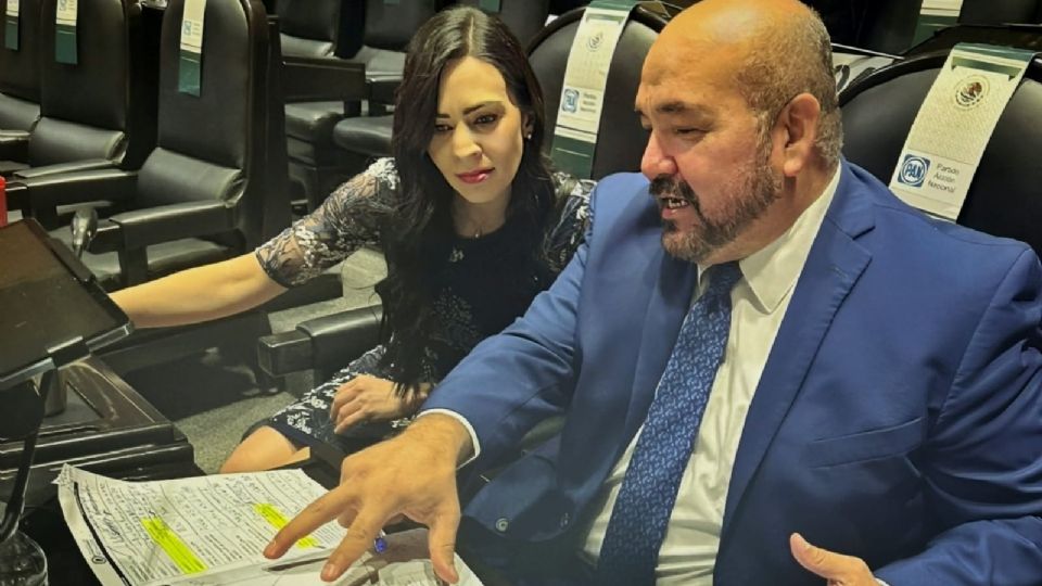 La diputada federal tendría un lugar asegurado en la próxima legislatura en el Senado.