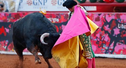 Los toros y la plaza México: la discusión que no hemos querido dar