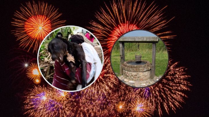 Rescatan a perrito que cayó en un pozo por pirotecnia guadalupana en Veracruz