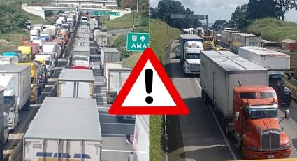Colapsa autopista de Veracruz por obras; reportan 7 kilómetros de vehículos