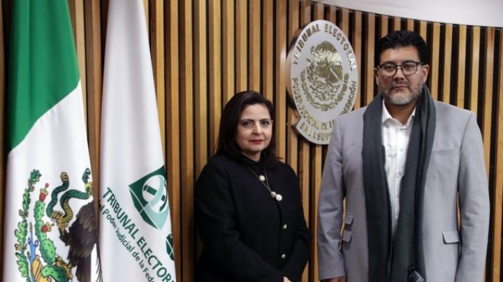 Tribunal Electoral: Mónica Soto será la nueva magistrada presidenta