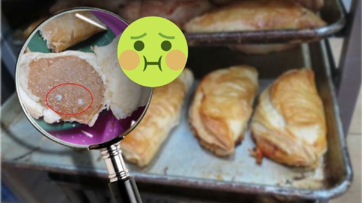 Piden paste en negocio de Pachuca, encuentran una asquerosa sorpresa