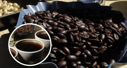 3 formas para preparar un buen café americano con granos de Veracruz