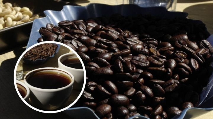 3 formas para preparar un buen café americano con granos de Veracruz