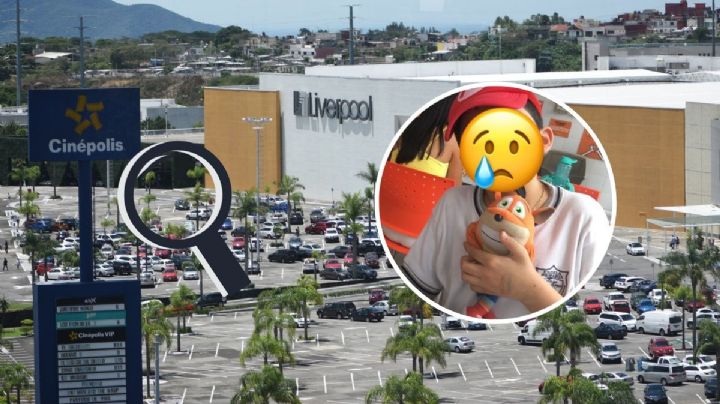 Niño busca a su peluche perdido en Plaza Américas de Xalapa; ofrecen recompensa