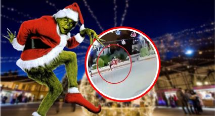 Ataca el Grinch en Hidalgo: sujeto destruye adornos navideños en la madrugada | VIDEO