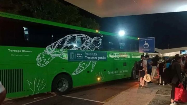 Tren Maya: desarman a taxistas abusivos, implementan autobuses gratis en Cancún