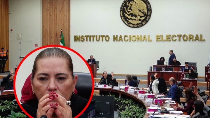INE rumbo a callejón sin salida, admite Guadalupe Taddei
