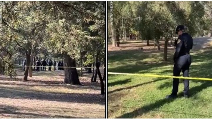 Chapultepec: Encuentran hombre muerto en zona de juegos infantiles