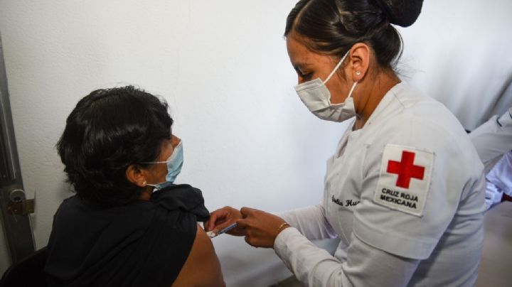 Vacuna Covid de Pfizer: Ni en San Pablo ni en Farmacias del Ahorro, aquí es más barata