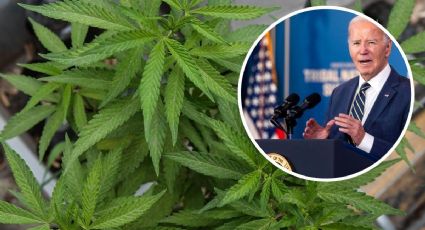 Biden perdona a ciudadanos por uso de marihuana; llama a gobiernos a legalizarla