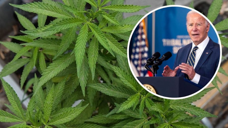 Biden perdona a ciudadanos por uso de marihuana en territorios federales