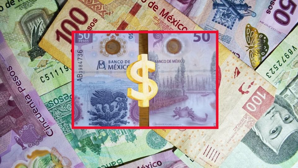 Los billetes de 50 pesos del ajolote son muy codiciados entre los mexicanos