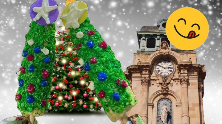 Elotes navideños llegan a Pachuca ¡ve por el tuyo!