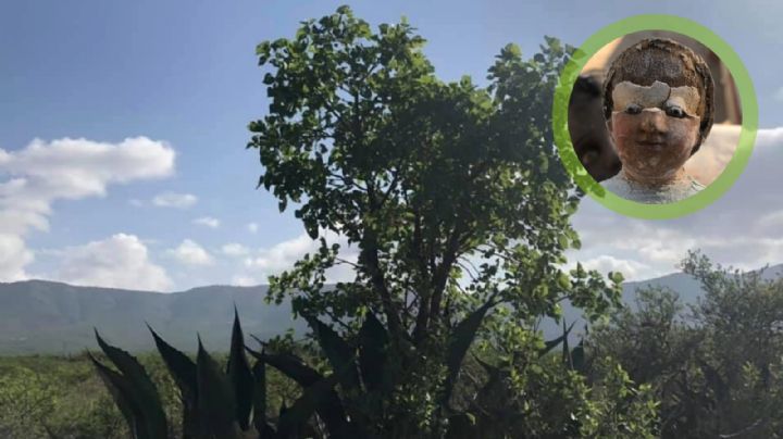 Repara niñitos dioses antiguos de madera de patol, un árbol de Guanajuato