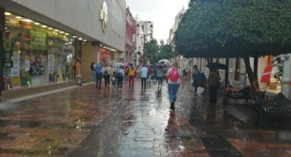 Guanajuato espera heladas y chubascos este 25 de diciembre