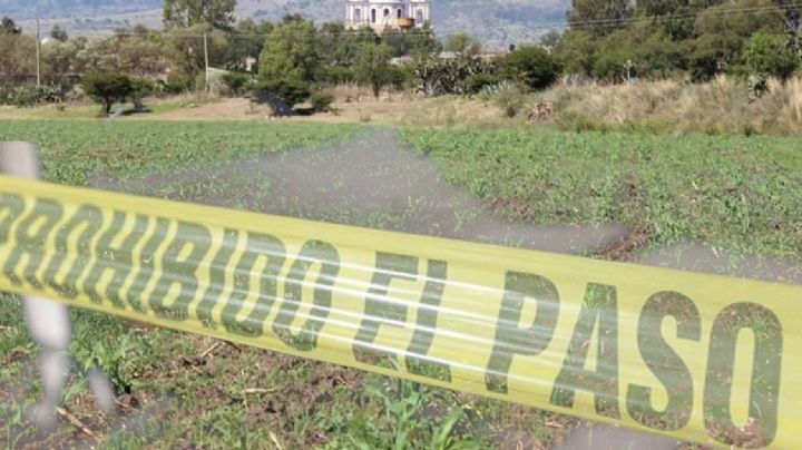 Se la comieron los animales; encuentran cuerpo devorado en la maleza