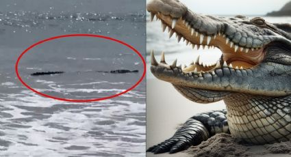 ¿Estás de vacaciones? Autoridades alertan de presencia de cocodrilo en estas playas | VIDEO