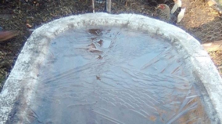 Amanecen congeladas pilas de agua en Comanja y Sierra de Lobos en León