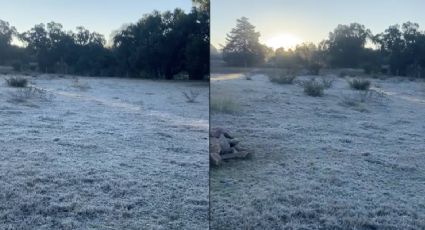 Una capa de nieve: así amaneció Sierra de Lobos | VIDEO