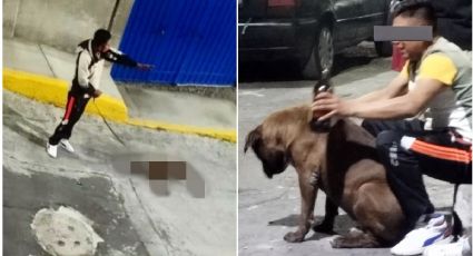 Burfrano, asesino de perro "Canelo" en Iztapalapa: ¿libró la cárcel por sobornos?