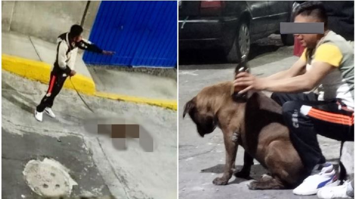 Burfrano, asesino de perro "Canelo" en Iztapalapa: ¿libró la cárcel por sobornos?