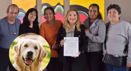 Diputada hace  un llamado a autoridades y dueños de mascotas a asumir su responsabilidad