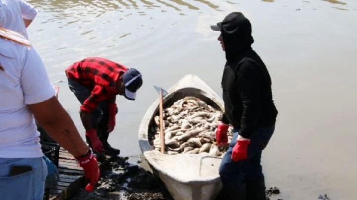 Por sequía, presa Requena sin recuperar caudal ni actividad pesquera: alcalde