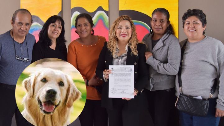 Diputada hace  un llamado a autoridades y dueños de mascotas a asumir su responsabilidad