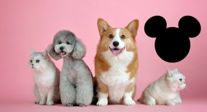 Orejas de Michey Mouse, la polémica moda de mascotas en China
