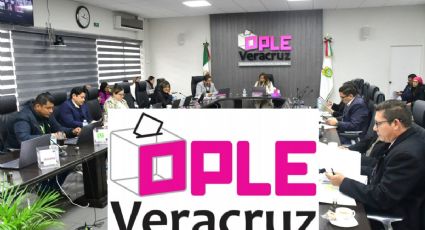OPLE Veracruz garantiza espacios a grupos vulnerables, indígenas y población de la diversidad sexual