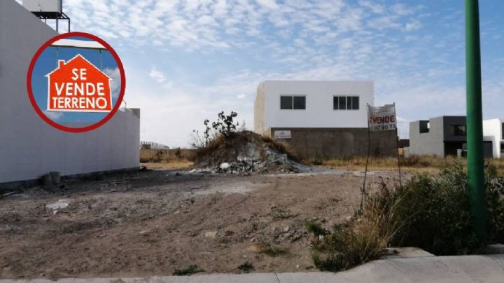 Cártel inmobiliario en León: esta es la forma en la que roban terrenos sin que los dueños se enteren