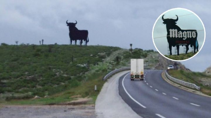 Has visto este toro negro en la carretera ¿De dónde viene?