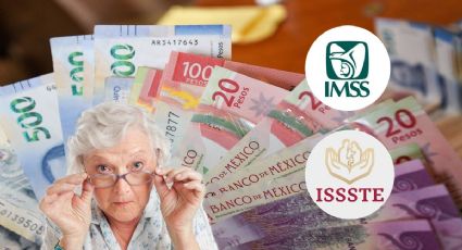 Estos son los pensionados que recibirían más dinero por el aumento al salario mínimo