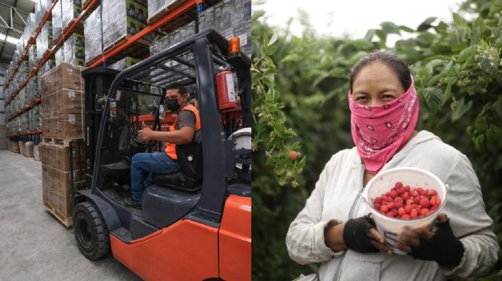 Jalisco sigue liderando la creación de empleos en México con 13,504 nuevos trabajos en noviembre