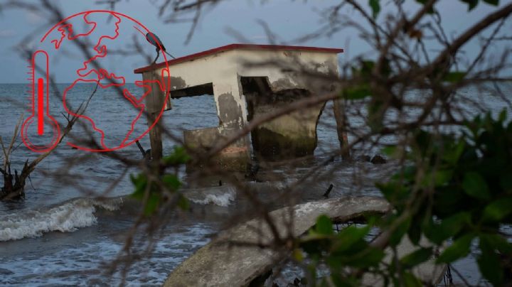 COP28: Olas de calor, asesino silencioso del cambio climático, advierte Felipe Calderón