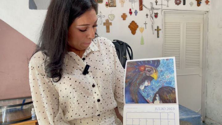 Violencia vicaria: Mujeres del Valle de México crean red para defenderse