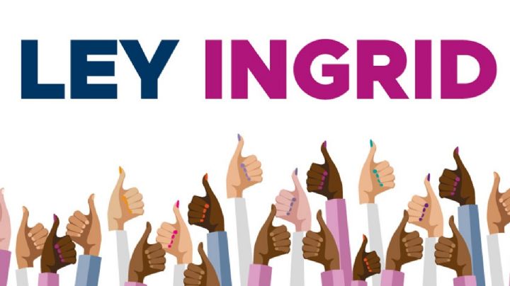 Ley Ingrid: claves de su entrada en vigor en el Edomex