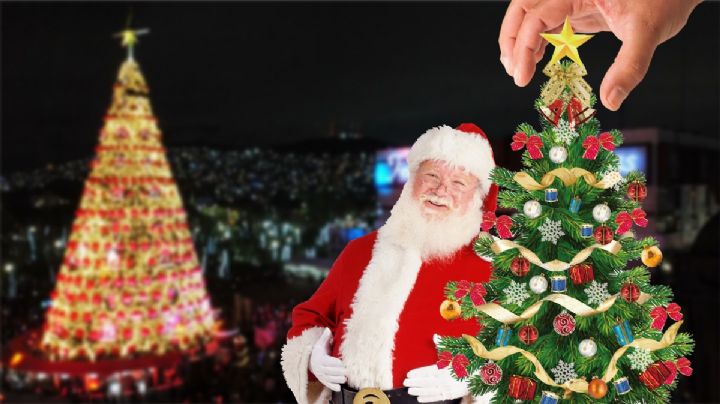 Milagro de Navidad: a Sophie le roban su árbol en evento de Pachuca y extraño le compra uno