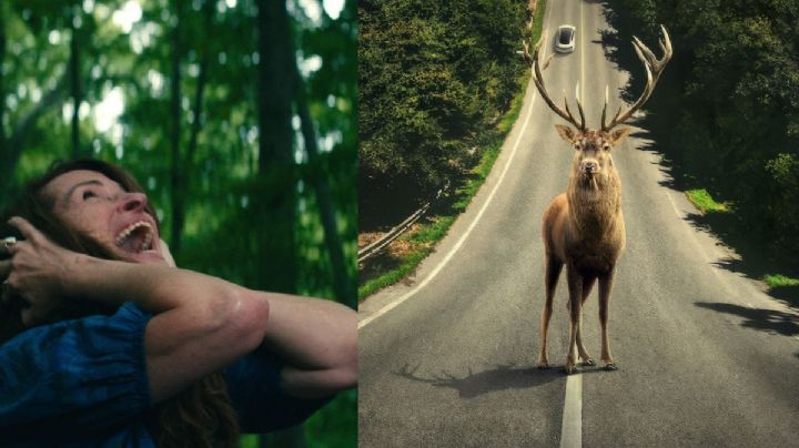 La serie de Julia Roberts que a pocos días de estreno está en el top de Netflix