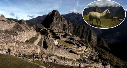 ¿Machu Picchu cierra al turismo? Hundimiento preocupa a expertos