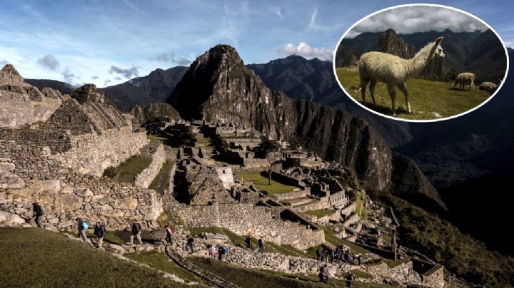 ¿Machu Picchu cierra al turismo? Hundimiento preocupa a expertos