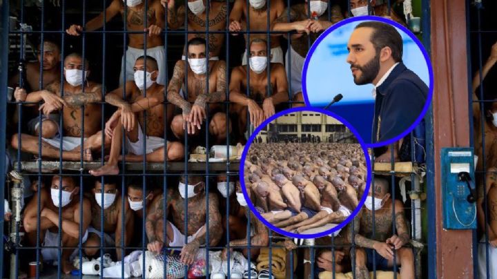 Las fotografías de las maras de El Salvador; el terror tras las rejas