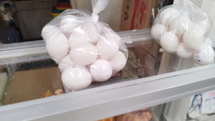 Huevos: los trucos que debes saber para elegirlos y conservarlos según Profeco