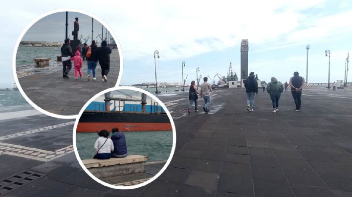 Frente frío 31: Norte deja vientos superiores a los 107 km/h en Veracruz