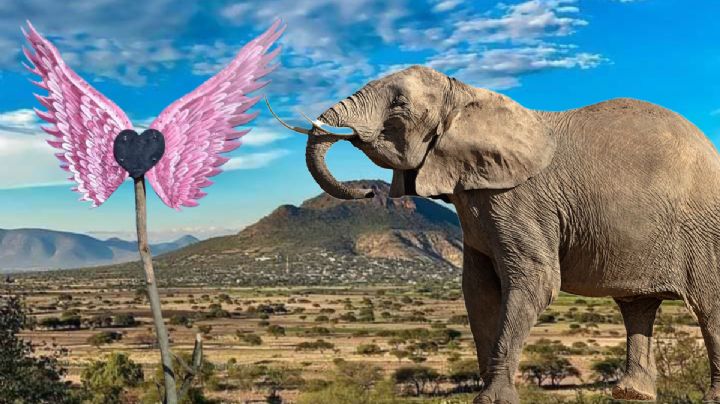 ¿Conoces el Cerro del Elefante en Hidalgo? su historia, tradición y recorrido